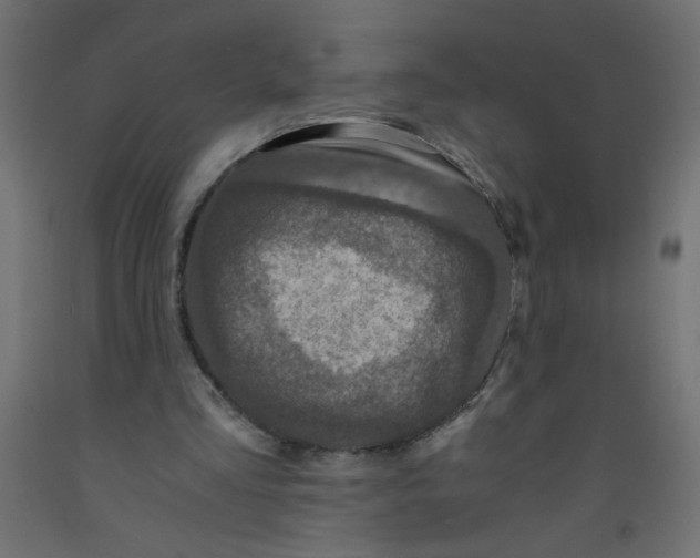 X0000092290293200710121439