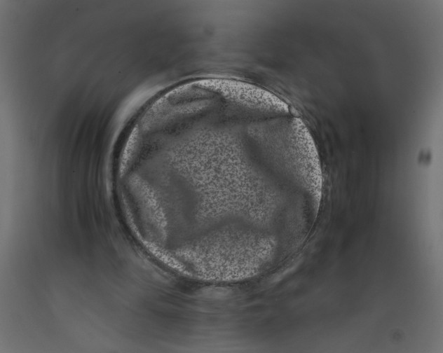 X0000092290294200710121439