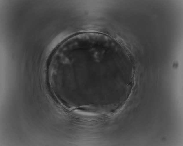 X0000092290295200710121439