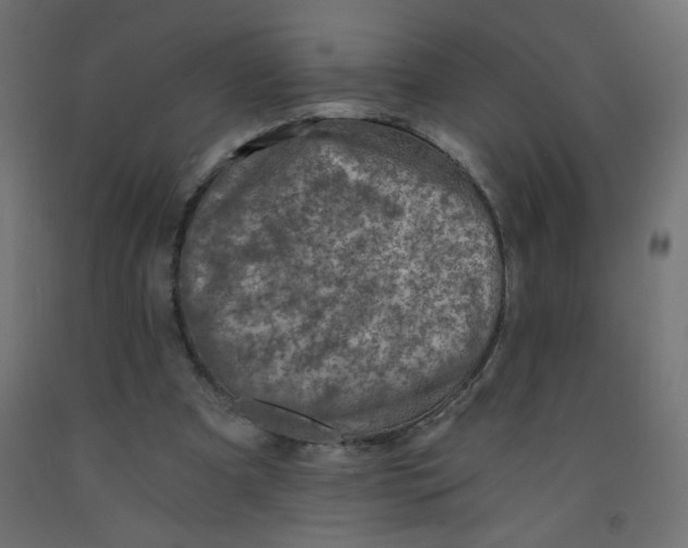 X0000092290297200710121439