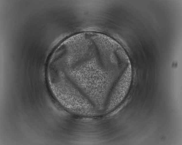 X0000092290298200710121439