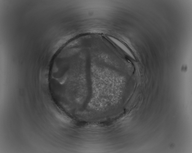 X0000092290299200710121439