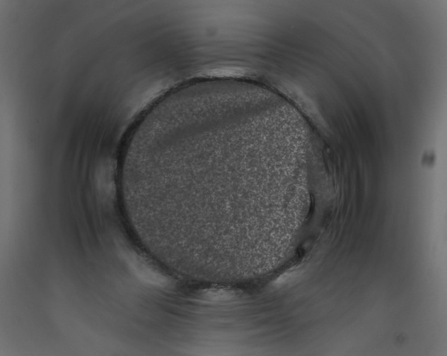 X0000092290300200710121439