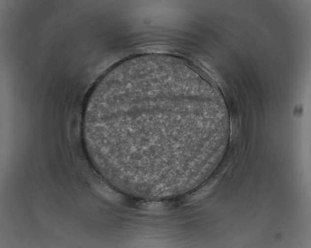 X0000092290301200710121439