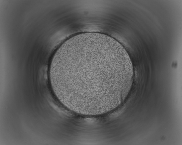 X0000092290302200710121439