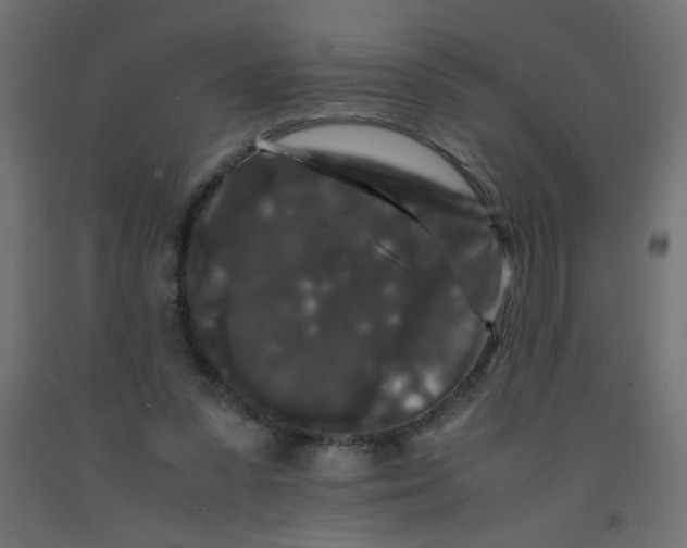 X0000092290303200710121439