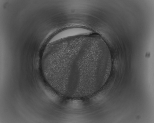 X0000092290304200710121439