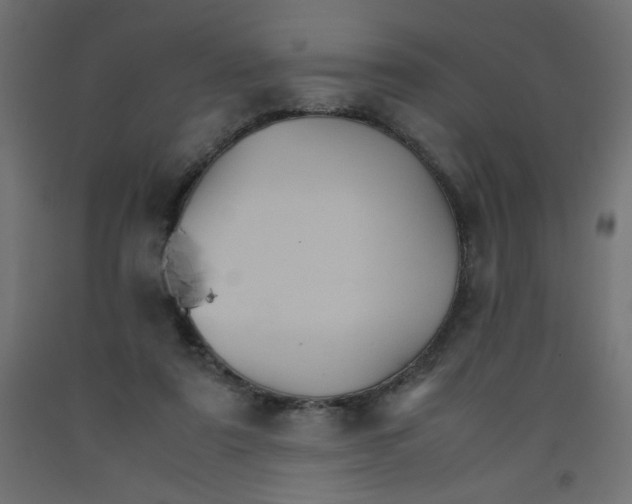 X0000092290307200710121439