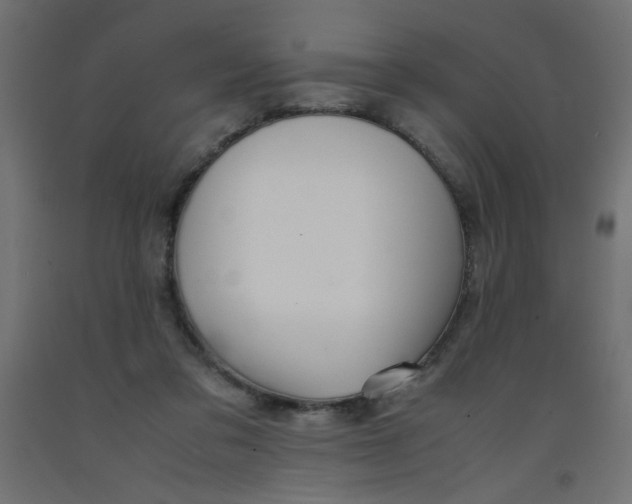 X0000092290309200710121439