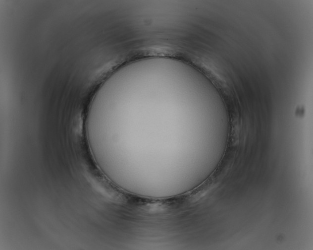 X0000092290310200710121439