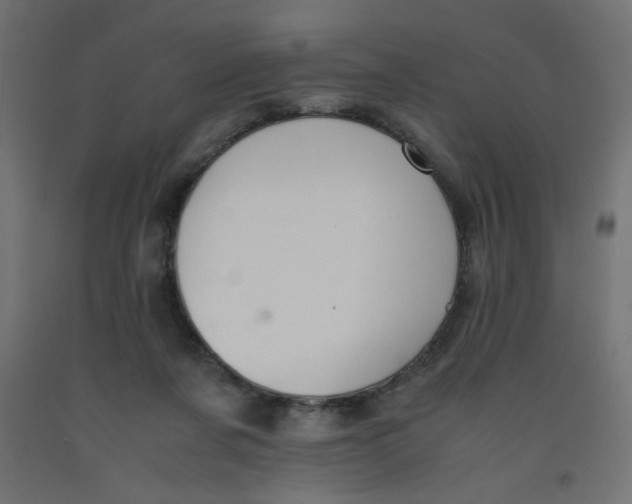 X0000092290311200710121439