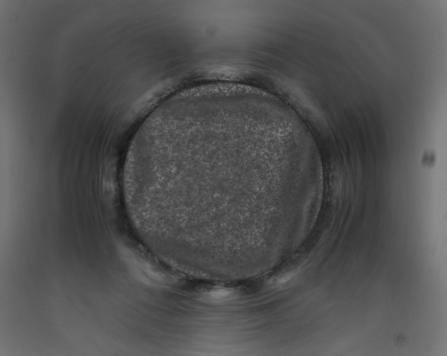 X0000092290312200710121439