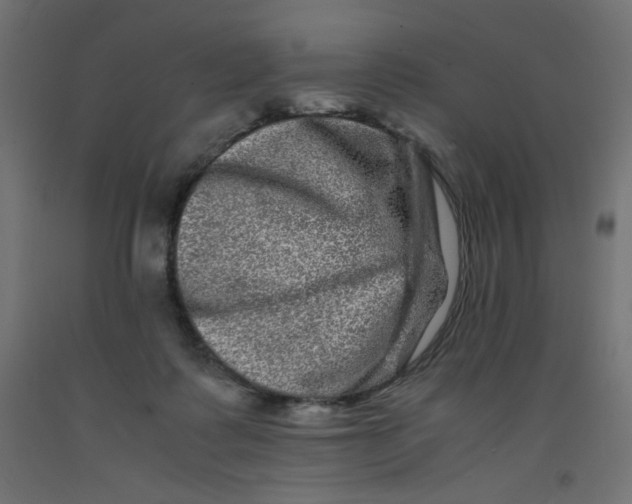 X0000092290315200710121439