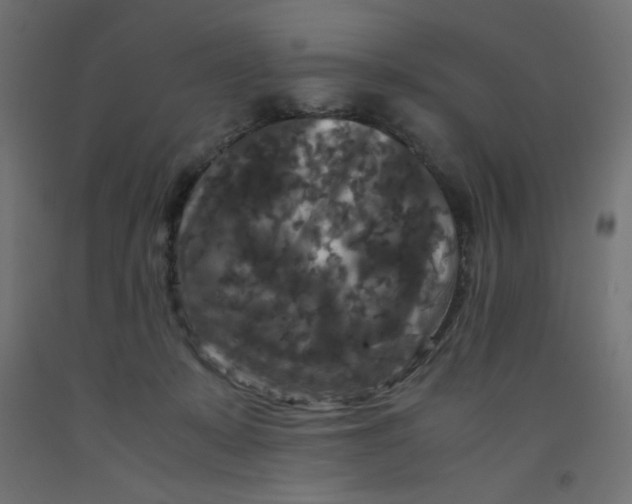 X0000092290319200710121439