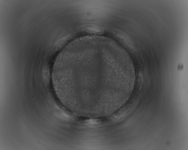 X0000092290320200710121439