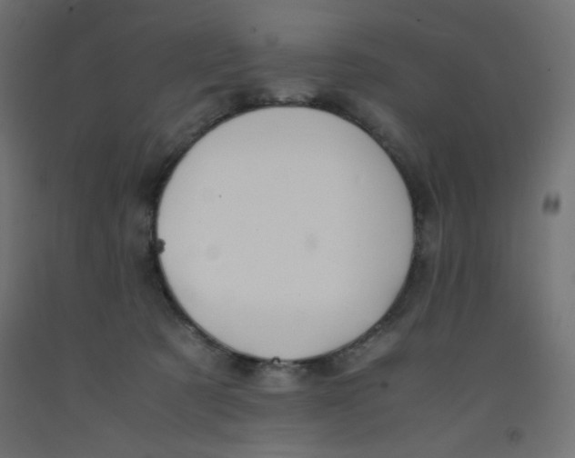 X0000092290321200710121439