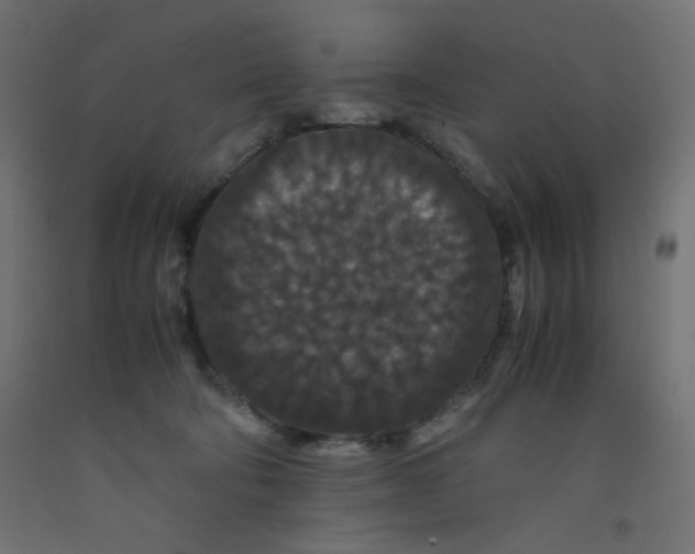 X0000092290322200710121439