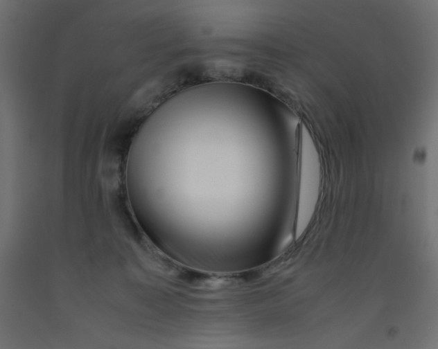 X0000092290323200710121439