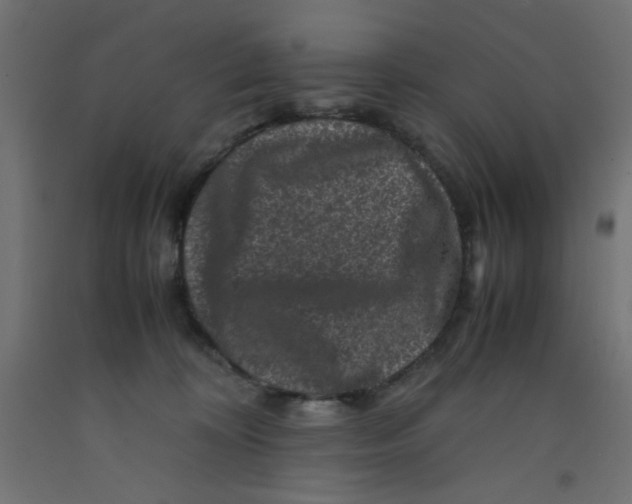 X0000092290324200710121439