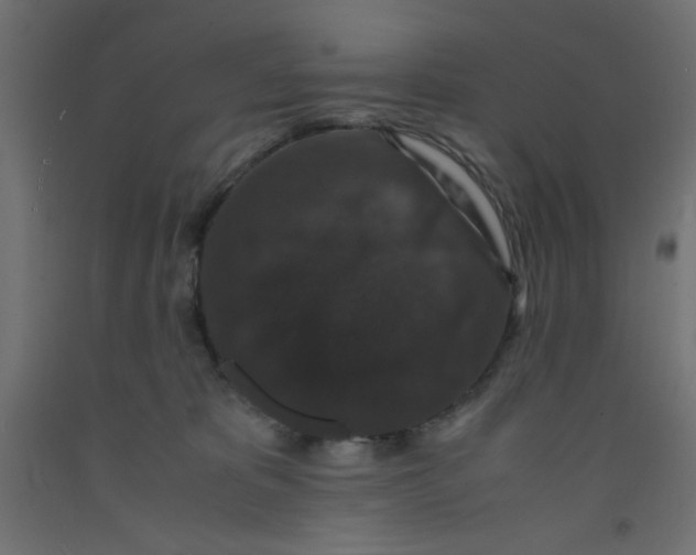 X0000092290325200710121439