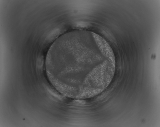 X0000092290328200710121439