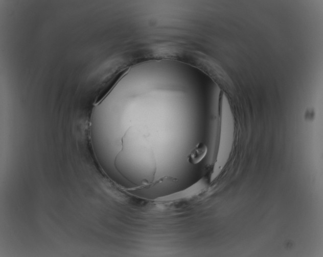 X0000092290329200710121439