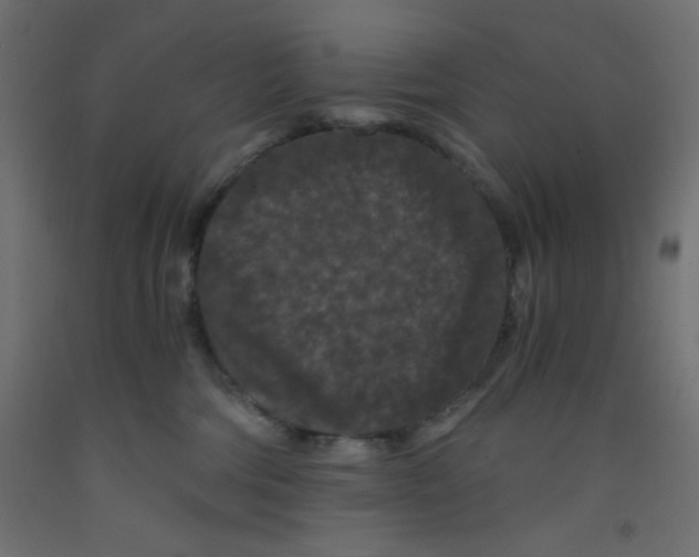 X0000092290330200710121439