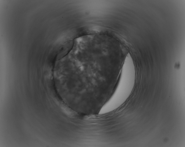 X0000092290331200710121439