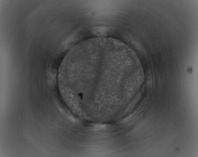 X0000092290332200710121439