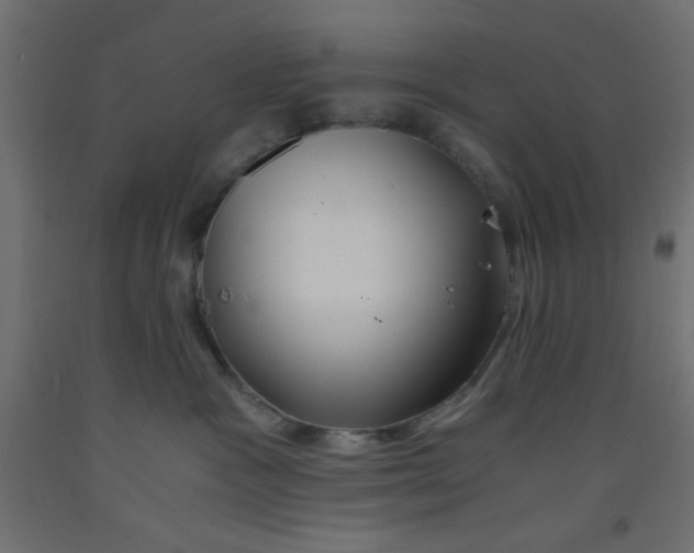 X0000092290333200710121439