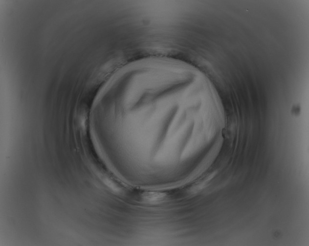 X0000092290334200710121439