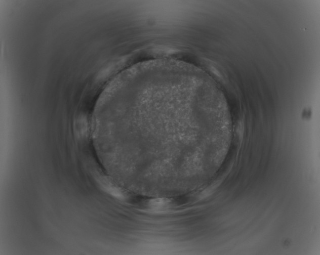 X0000092290335200710121439