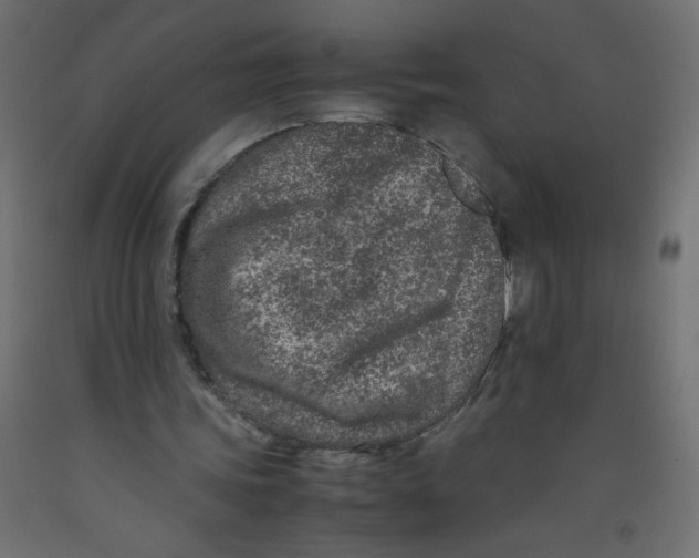 X0000092290339200710121438