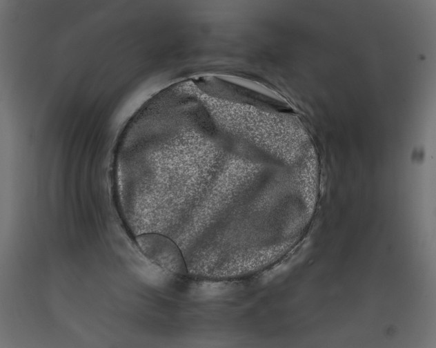 X0000092290341200710121438