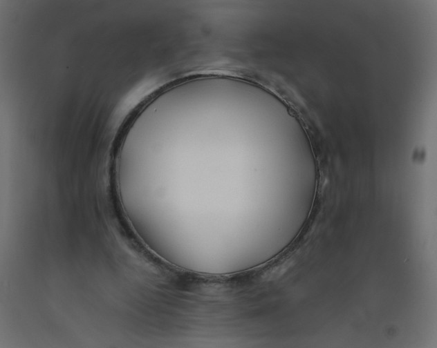 X0000092290344200710121438