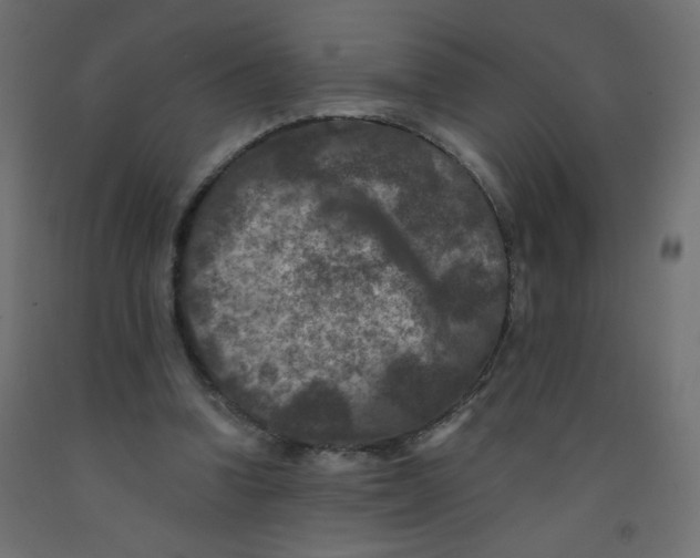 X0000092290346200710121438