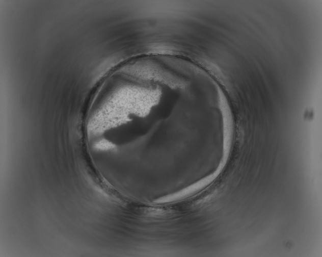 X0000092290347200710121438