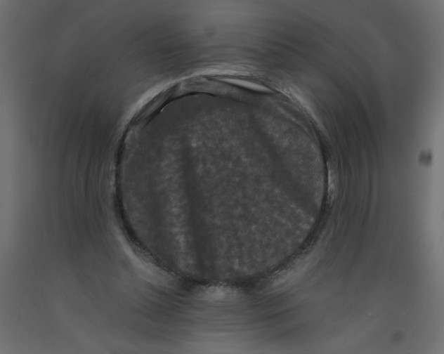 X0000092290348200710121438