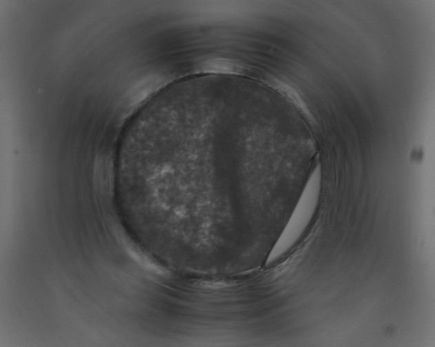 X0000092290349200710121438