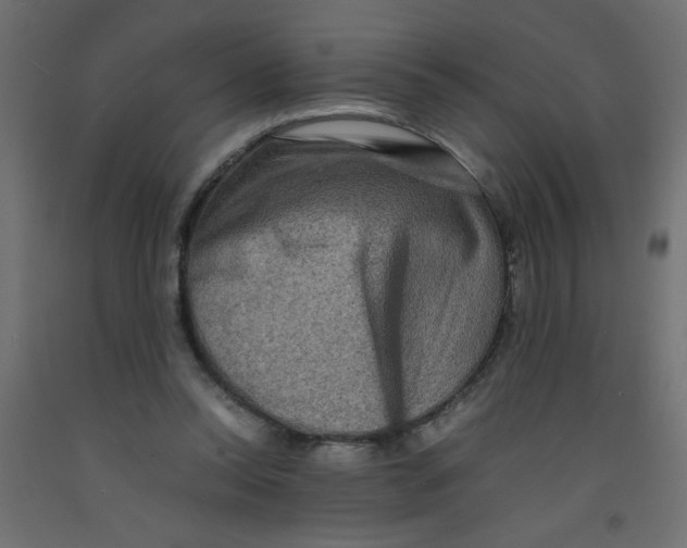 X0000092290350200710121438