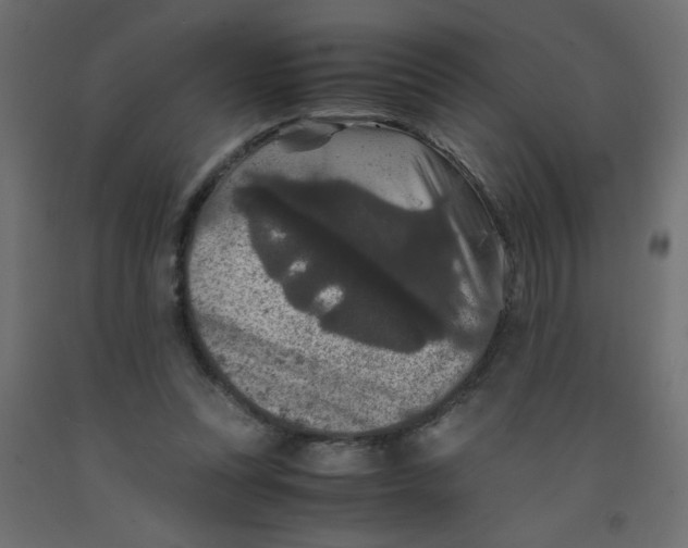 X0000092290351200710121438