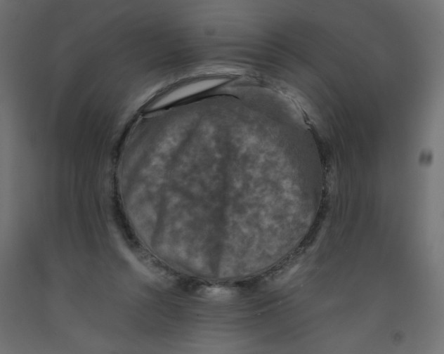 X0000092290352200710121438