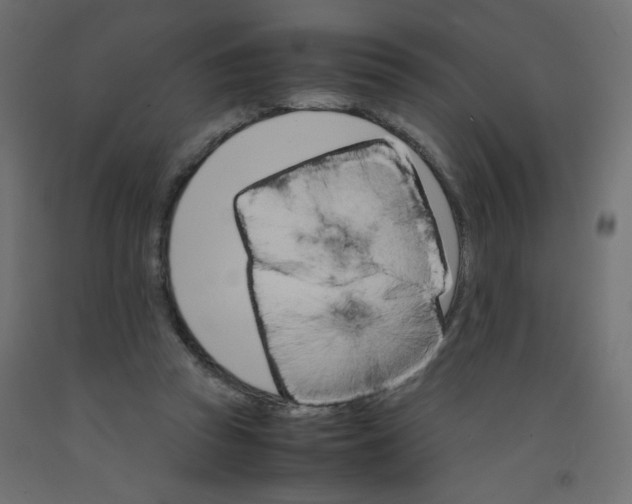 X0000092290353200710121438