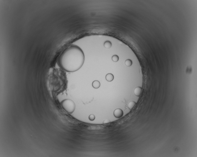 X0000092290354200710121438