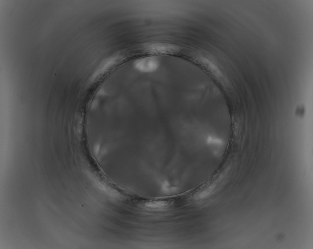 X0000092290357200710121438