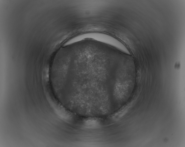 X0000092290358200710121438