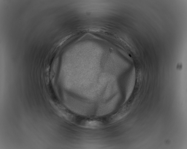 X0000092290360200710121438