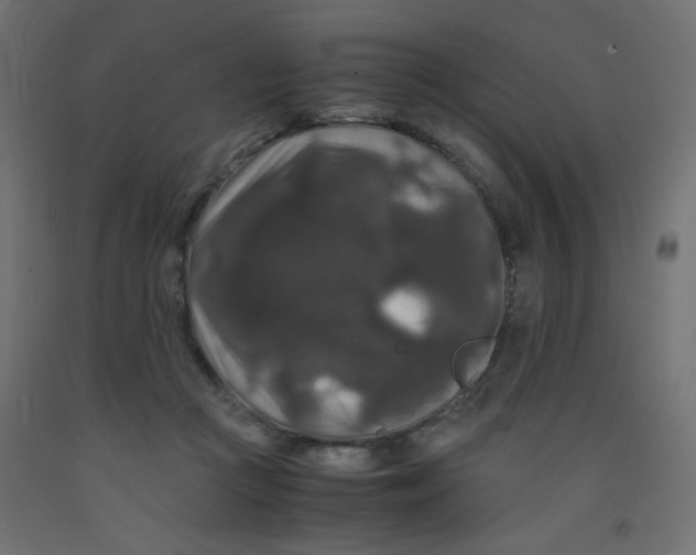 X0000092290361200710121438