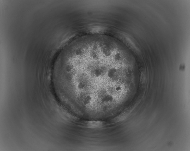 X0000092290363200710121438