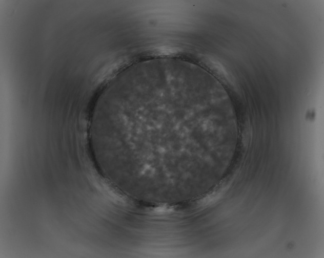 X0000092290366200710121439